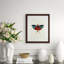 Tropical Insect I Print