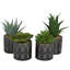 Feuillage artificiel en plastique Cole & Grey