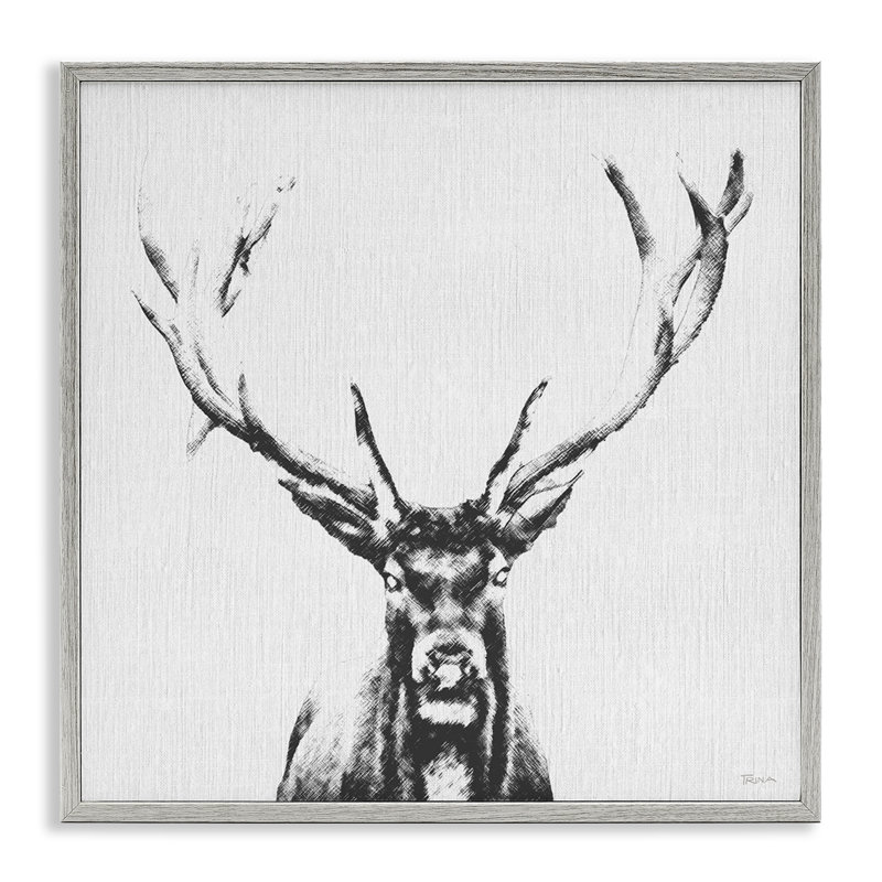 Croquis de cerf dans une estampe numérique encadrée par Katrina Craven, H 24 po x l 24 po, Estampe numérique Farmhouse