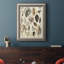 " Seashell Display "-403385114