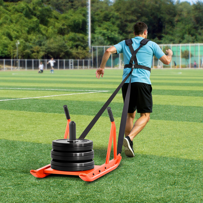 VEVOR Steel Weight Sled