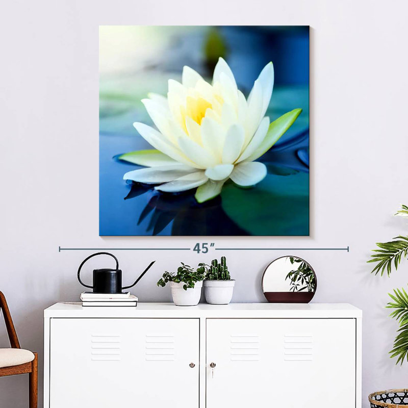 Harnek Lotus Splendor