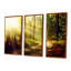 Sun Rays in Misty Old Forest - Ensemble de 3 reproductions encadrées sur toile-999538434-999538437