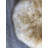 Wicklund Performance Faux Sheepskin Washable Indoor Rug-650460186