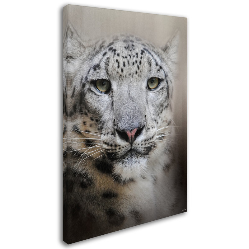 «Stare Of The Snow Leopard», impression sur toile tendue Vidur, H 19 po x l 12 po
