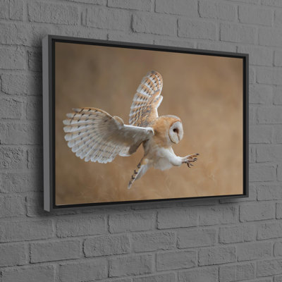 Personalized Barn Owl Before Attack Wildlife Art On Framed Canvas For A Unique Gift For Mom
