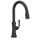 Stripling Single Handle Pull Down Kitchen Faucet