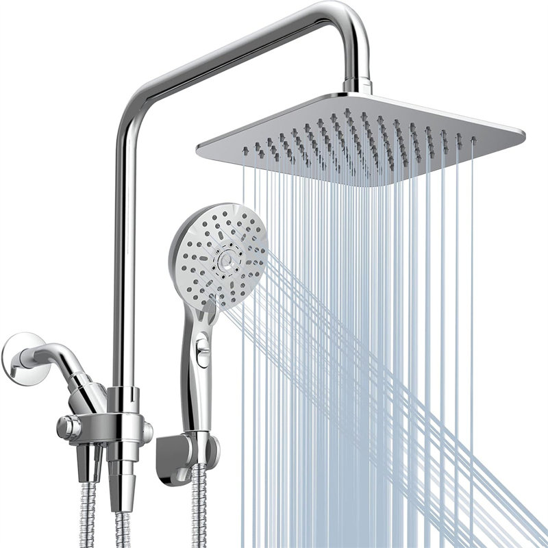8'' Chrome Adjustable Dual Shower Head Combo with Filter