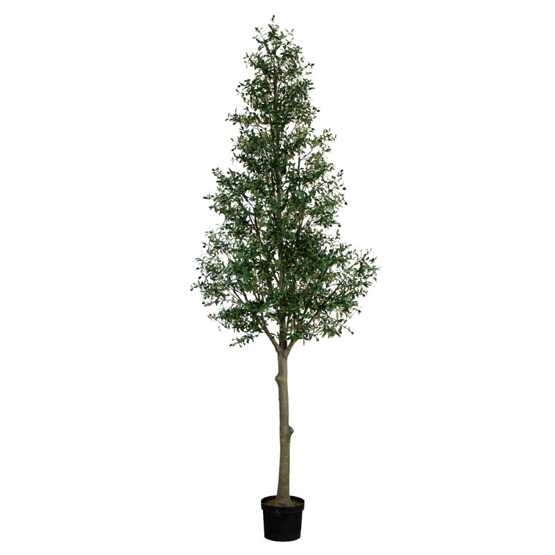13 pi Olive artificielle