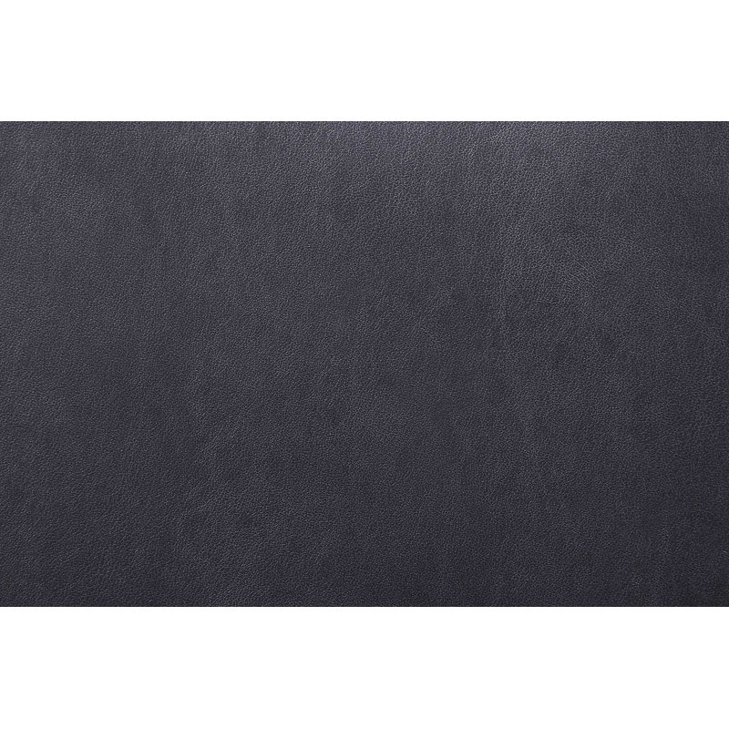 Ensemble de deux chaises d'appoint de salle à manger rembourrées en tissu noir et argent