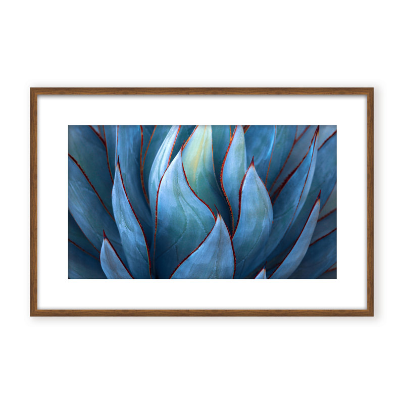 Nature Inspired Blue Agave Abstract by  - Picture Frame Graphic Art on Paper, 24" H x 36" W x 1.125" D, Black