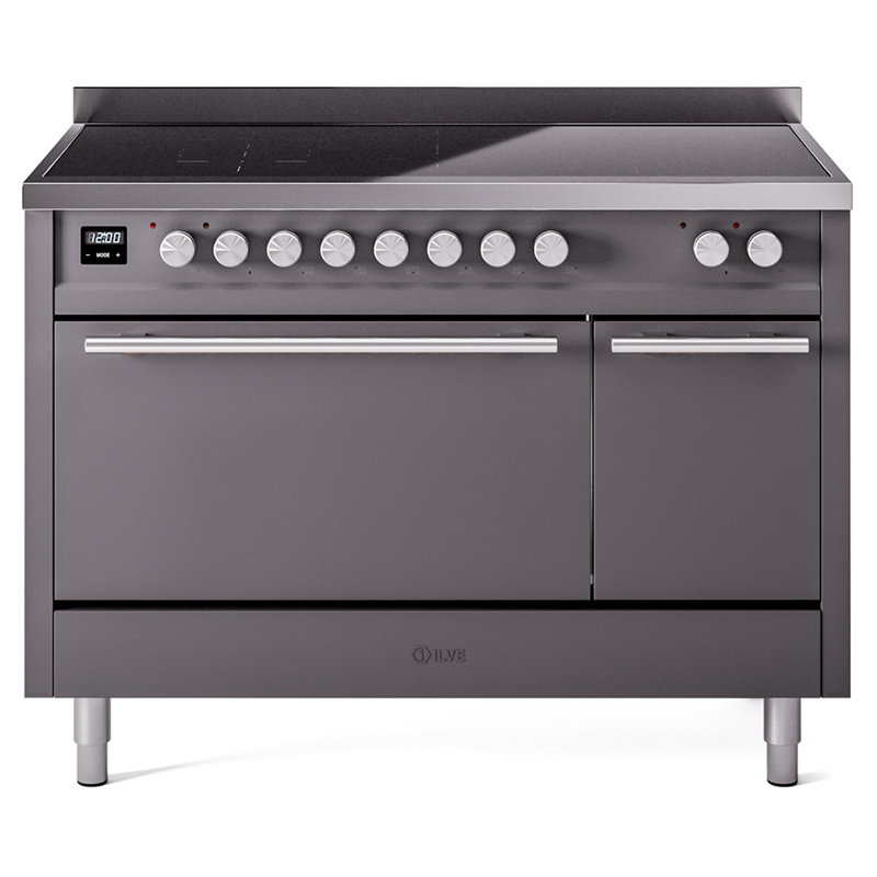 ILVE Professional Plus II 48 po à induction, 6 éléments à induction (porte pleine), Graphite mat