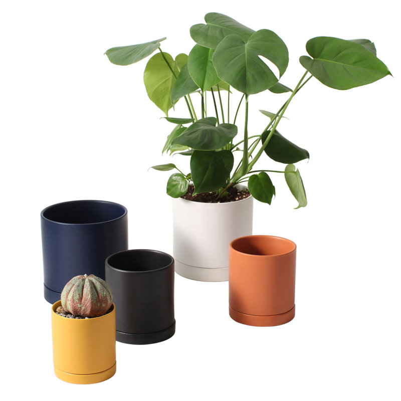 Jardinières en pot, Blanc, H 4,8 po x l 4,3 po x P 4,3 po