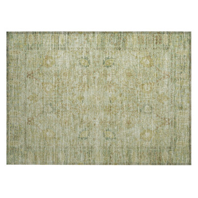 Machine Washable Indoor/Outdoor Segin ACN1106 Sage Rug