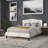 Ciriaca Arched Button Tufted Upholstered Headboard-619430003-619430012