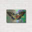 «Exposed Butterfly» par Dean Russo sur-1067619336