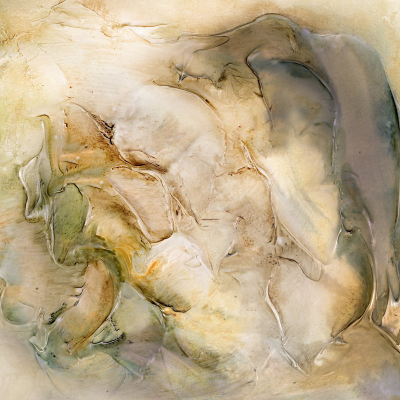 Tawayna Shaped In Gold by Scherrer Finch - Wrapped Canvas Print, 30 cm H x 30 cm W