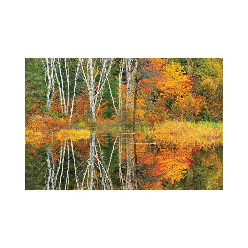 Canada, Ontario, Capreol by Jaynes Gallery - Wrapped Canvas Print, 30.48cm H x 45.72cm W x 1.905cm D