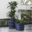 Modern Eye Unique Large Flowerpot-198725308