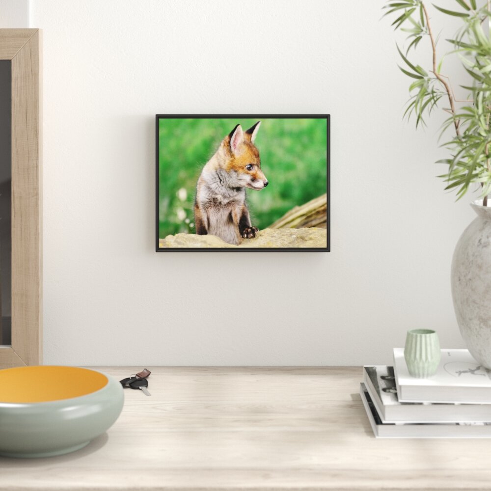 Gerahmtes Wandbild junger Fuchs