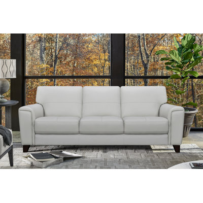 Dinese Upholstered 88'' Sofa
