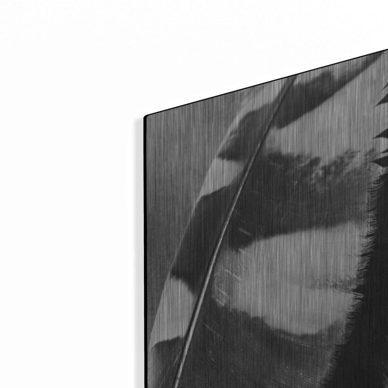 «Feather Shadow I» par Debra Van Swearingen, H 24 po x l 16 po