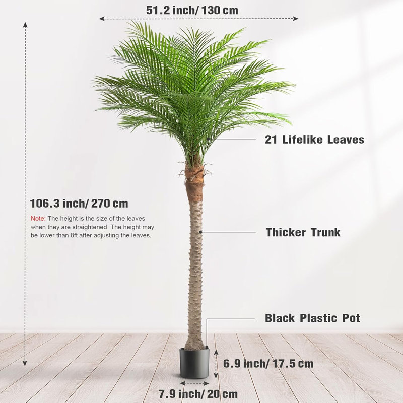 Plant