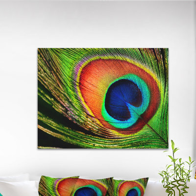 «Peacock Feather», impression