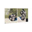 Noir Vase Set High-Gloss Frameless Acrylic Glass Wall Art Floral & Botanical Print by Oliver Gal, Ready to Hang, 16 x 20-724940620-724940596