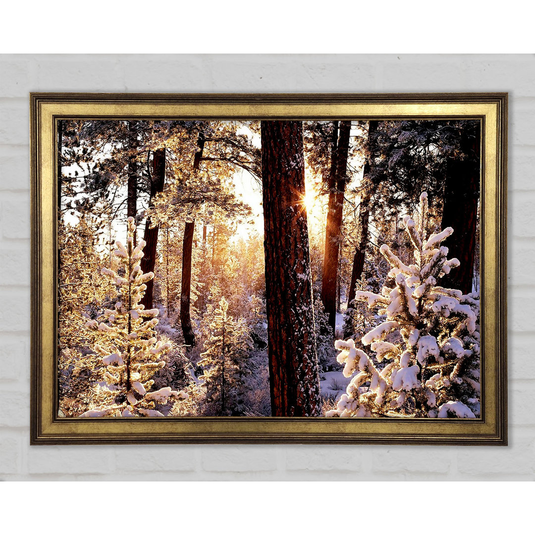 Winter Woodland Gerahmter Druck