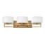 Lanza 3-Light Vanity Light-846594491-846594490