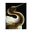 Bird Print-25704790-25704788