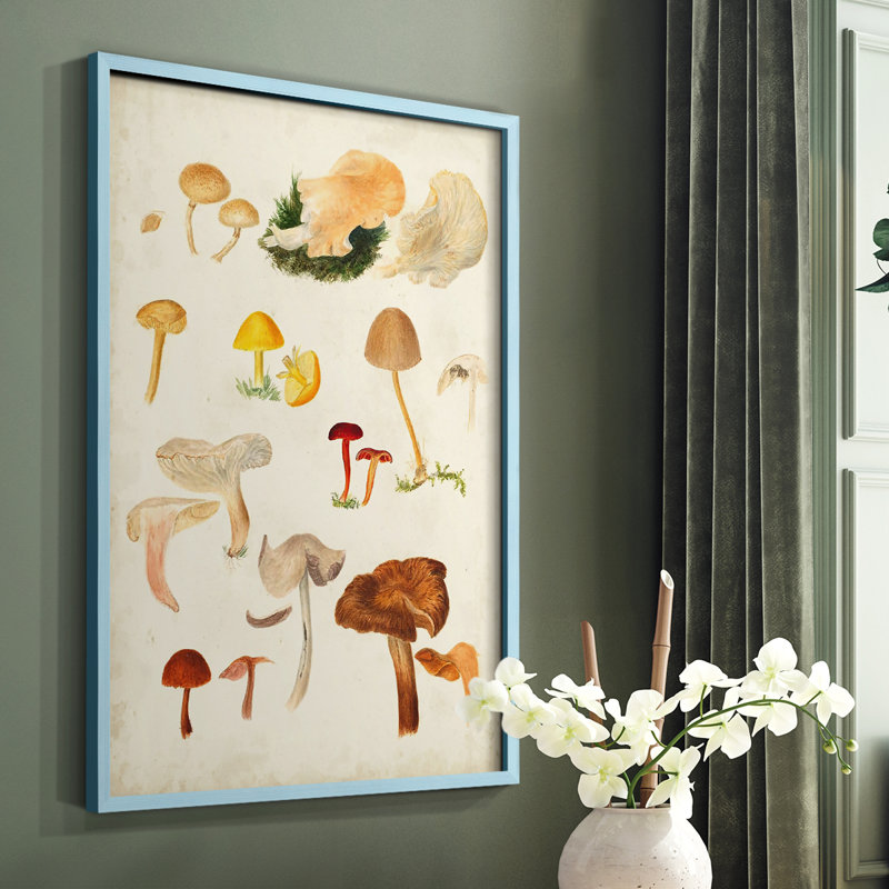 Reproduction encadrée de champignon Mushroom Species, H 10 po x l 8 po, Bleu