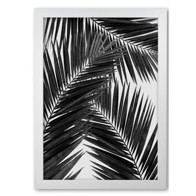 PaIm Leaf III - Print
