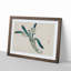 Daffodils by Kono Bairei - Picture Frame Painting Print-55679577-55679576