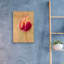 «First Bloom» par Pamela Plummer-881456074