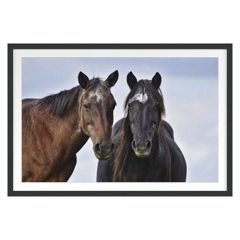 Friendship Print, Black, 20" H x 30" W