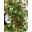 Couronne en soie 26 po-1131994828