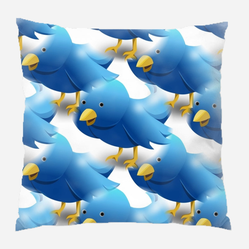 Coussin décoratif, Intérieur