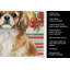 Serviette de cuisine Tibetan Spaniel-322069632