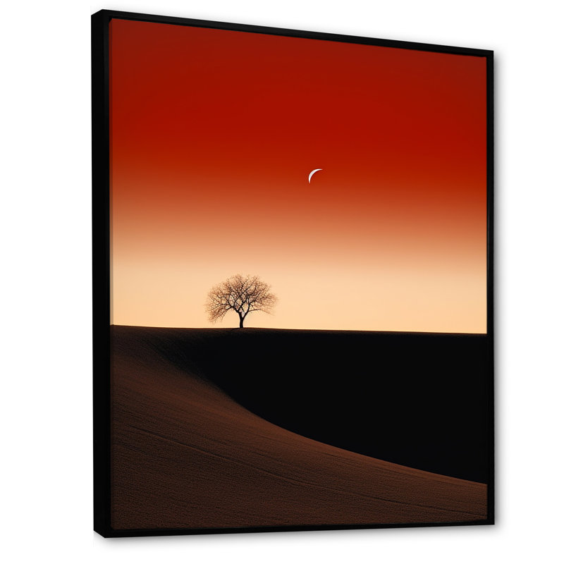 Sunsets Simplicity Desert Solitude I, Cadre flottant noir, H 44 po x l 34 po