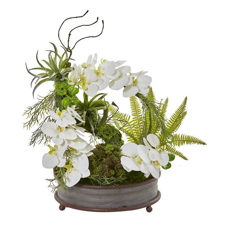 Arrangement floral orchidée en pot