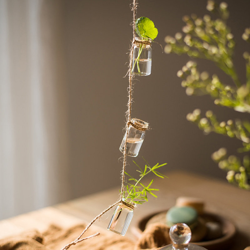 indoor wall plants Living Plant Wall