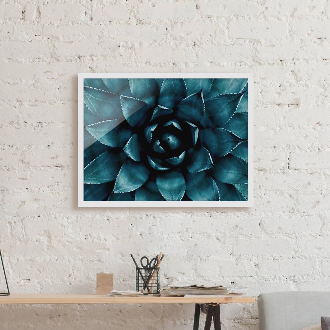 Gerahmtes Wandbild Succulent Petrol II