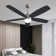 Ceiling Fan with LED Lights