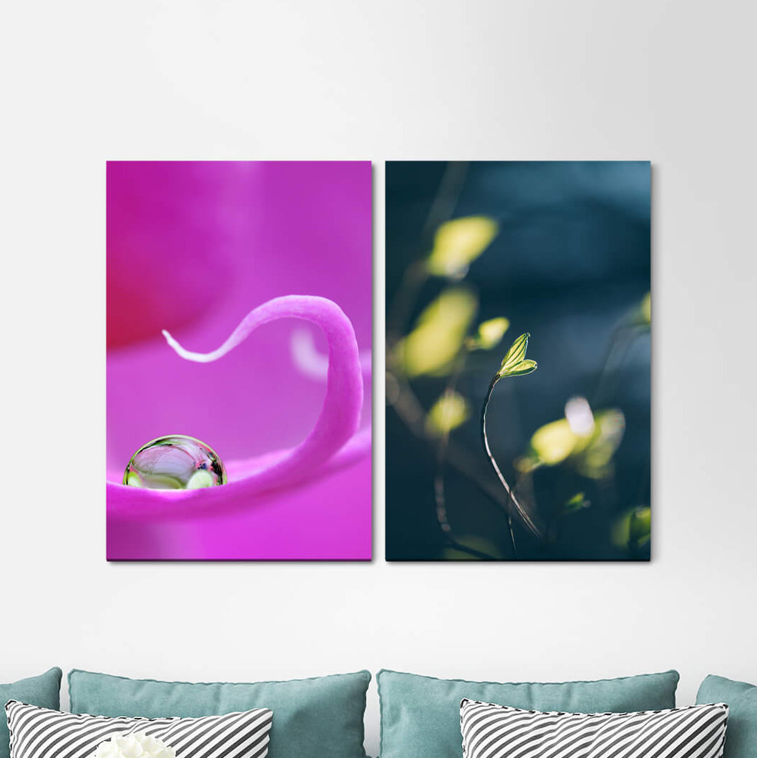 2-tlg. Leinwandbilder-Set - Fotografie „Orchid Water Drop Branches Spring Sprout Focus”