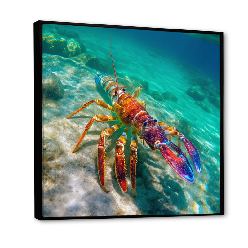 Homard rouge dans une eau turquoise tropicale - impression, H 30 po x l 30 po x P 1 po, Cadre flottant noir