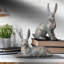2 Piece Sit and Lay Rabbit Set