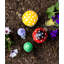 Seraphine Plants & Flowers Weather Resistant UV Resistant Plastic Garden Statue