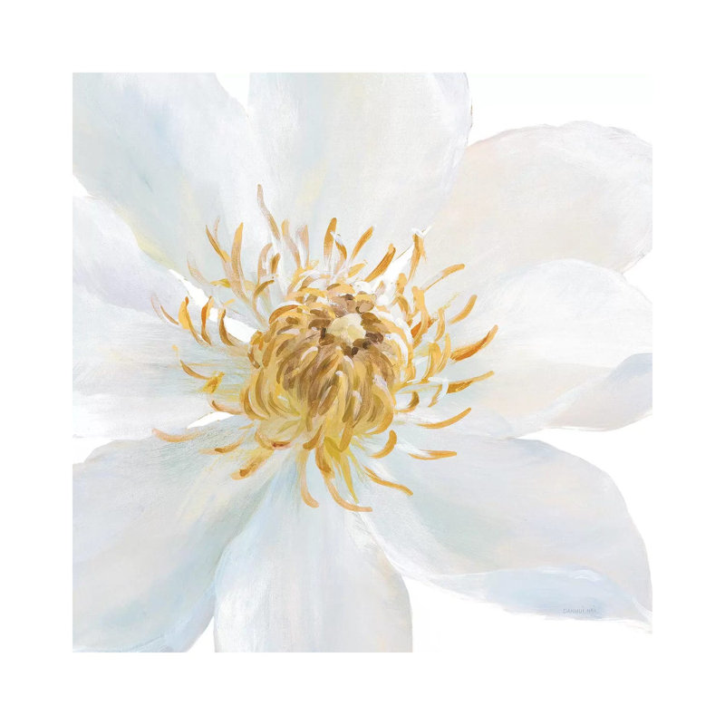 Contemporary Clematis Gray by Danhui Nai - Wrapped Canvas Gallery-Wrapped Canvas Giclée, 66.04 cm H x 66.04 cm W x 1.91 cm D